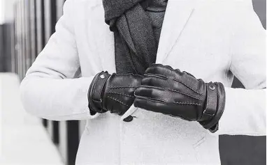 Formal Leather Gloves